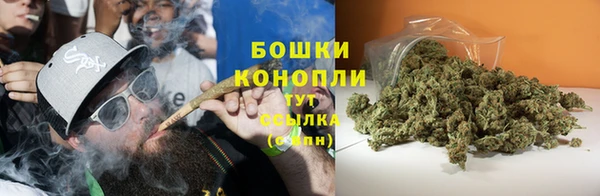 молекула духа Кострома