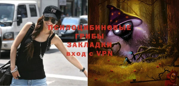 гидропоника Иннополис