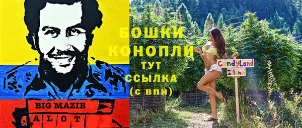 кристаллы Инта