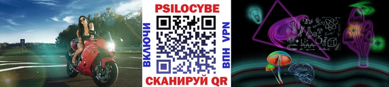 Псилоцибиновые грибы Cubensis  Купить где  Новодвинск 