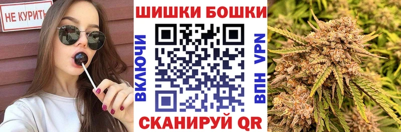 Бошки марихуана THC 21%  Купить закладки  Новодвинск 